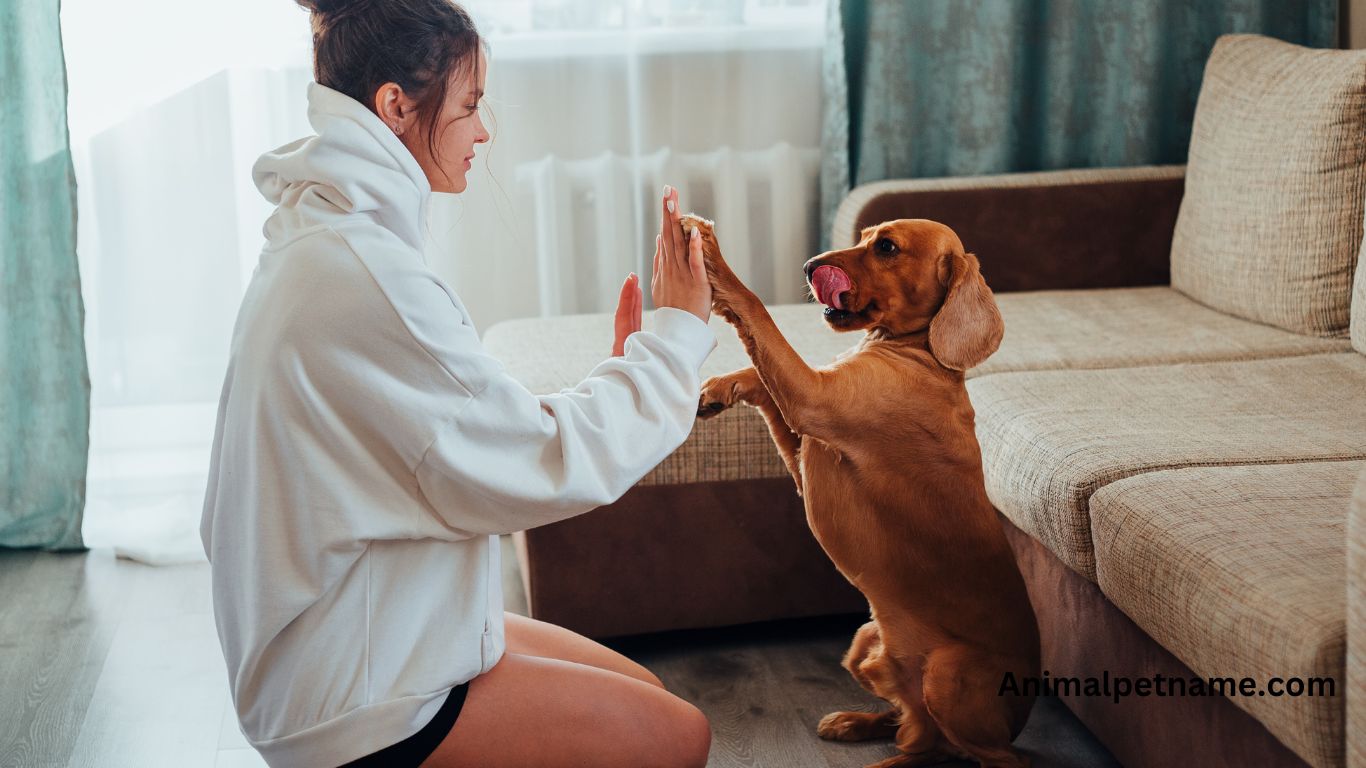 Best Indian dog names female